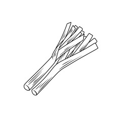 Line drawing of fresh leeks