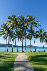 Obraz premium Palm Tree Lined Pathway Hamilton Island Golf Course Whitsundays Australia Tropical Landscape Resort Grounds Blue Sky Ocean View Paradise Setting