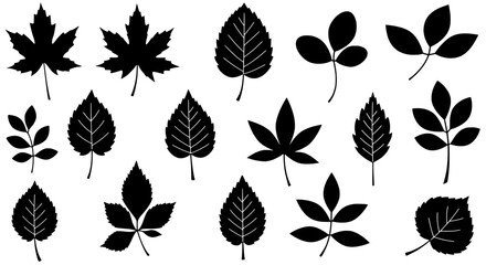 Leafy Silhouette Collection: A detailed collection of various leaves, each rendered in elegant black, is showcased, offering a diverse range of shapes and textures to celebrate the beauty of nature.