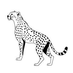 King of the Savannah Cheetah line art drawing of lion Laugh ink sketch vector hand drawn illustration background