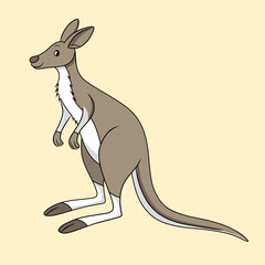 Kangaroo vector illustration, cartoon clipart character, animal in flat style. Wild animals, wild creatures, wildlife concept.