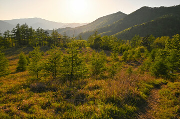 夕焼けの登山道