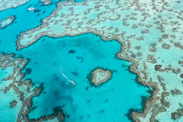 Fotobehang Koraaldieren Hardy Reef Great Barrier Reef Aerial Photography Heart Reef Coral Formations Whitsundays Australia UNESCO World Heritage Marine Park  © Michael