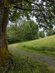 path in the park