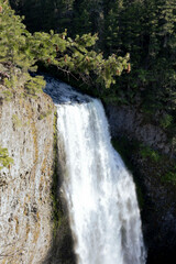 waterfall in the forest, salt creek falls oregon
