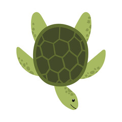 Illustration of a Green Sea Turtle