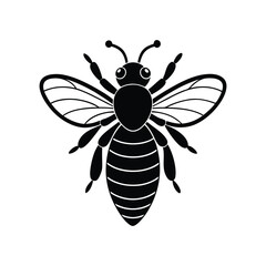 Fototapeta premium vector illustration of a wasp