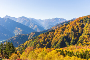 日本の風景・秋　紅葉の立山黒部アルペンルート　大観峰からの眺望