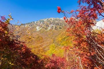 Gordijnen 日本の風景・秋　立山黒部アルペンルート　紅葉の黒部平 © Yuta1127