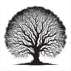 Majestic Bare Tree Illustration Black and White Nature Art