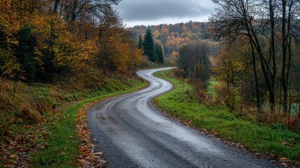 Obraz premium A serene curved road meanders through a vibrant autumn forest, showcasing the beauty of nature with colorful foliage and tranquil surroundings.
