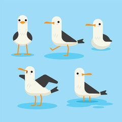 Flat vector of cute seagulls in various poses. Cartoon sea birds on blue background.