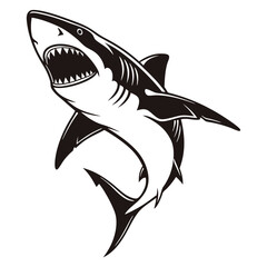 Naklejka premium shark vector illustration