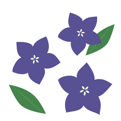 シンプルな桔梗のイラスト