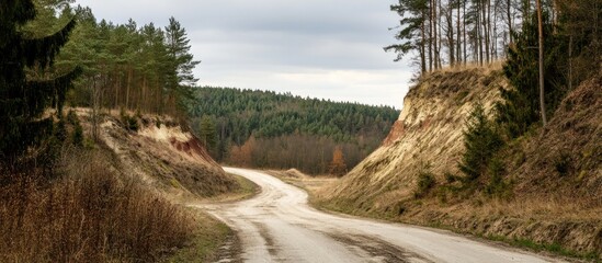 Winding Road Through Autumnal Forest Landscape with Cloudy Sky Overhead, Leading into the Distance