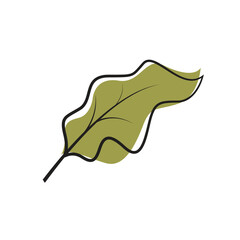 simple green leaves for decoration logo vector