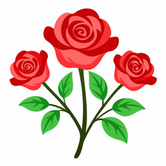  grandiflora isolated roses-on-white-background