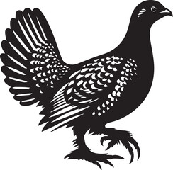 vector illustration of a sandgrouse