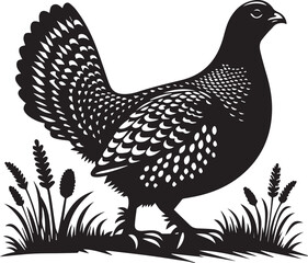 vector illustration of a sandgrouse