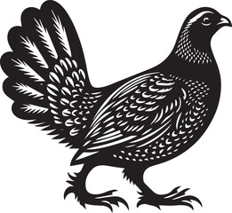 Obraz premium vector illustration of a sandgrouse