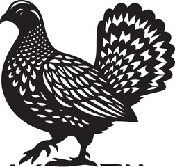 vector illustration of a sandgrouse