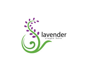 Fototapeta premium creative lavender beauty bar and perfume logo, purple lavender circled in the shape of the letter s, logo design inspiration