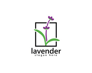 creative lavender beauty bar and perfume logo,purple lavender in frame,logo design inspiration
