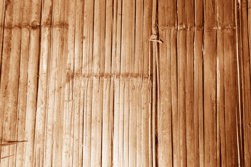 Bamboo arranged in a vertical