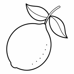 vector illustration of an apple