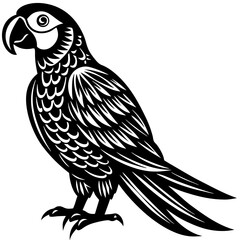 bird on a branch