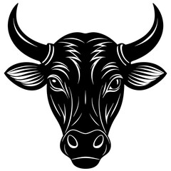 black and white bull