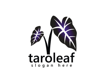 creative taro leaf logo two purple taro leaves logo design inspiration