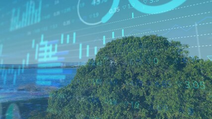 Mangrove getting charts at start animating bars gauges then fading off revealing coast showing data - Powered by Adobe