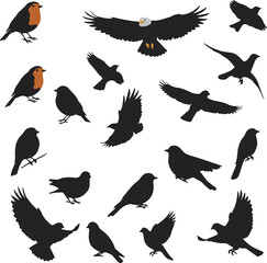 birds shilloitee vector set