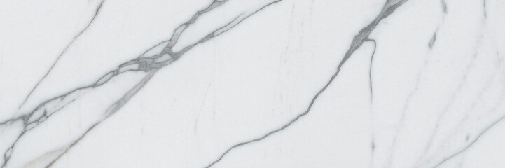 Obraz premium White Marble Texture with Gray Veins Stone Slab Background for Design and Decor