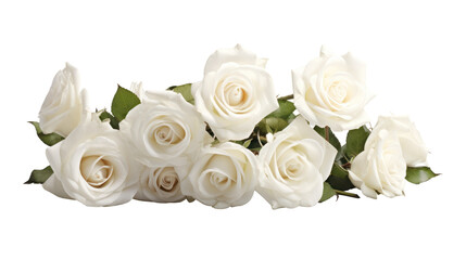 Obraz premium White roses isolated on transparent background