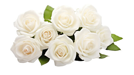  White roses isolated on transparent background