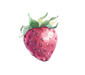 Red ripe strawberries painted with watercolors. Separate element without background