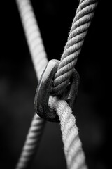 close-up photograph of intertwined thick ropes connected by a metal ring with a dark blurred background showing texture and tension