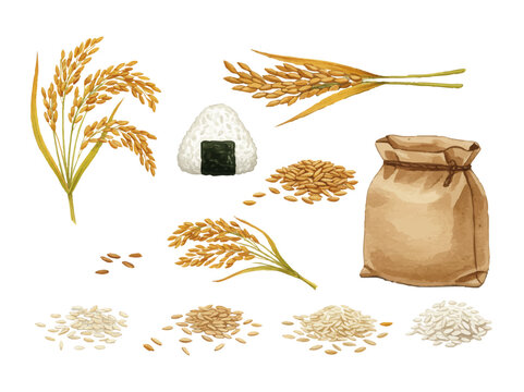 Vector watercolor rice / 水彩テイストの米・ごはんパターン