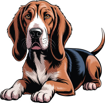 Cute English Coonhound Dog Vector