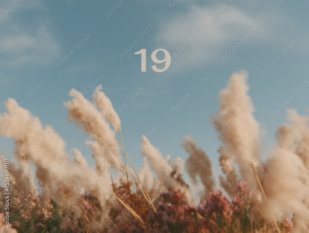 Poster minimalist calendar page with number 19 over soft pampas grass and clear blue sky, modern date marki