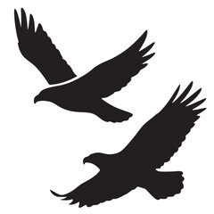  eagle flying silhouette