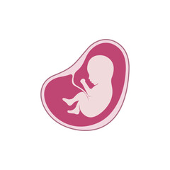 baby in womb fetus symbol logo vector