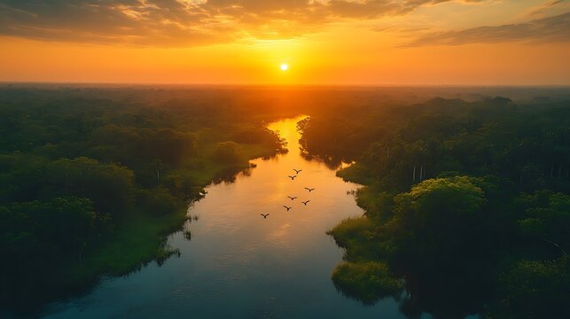 River sunrise landscape aerial view