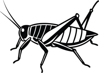 grasshopper on a white background