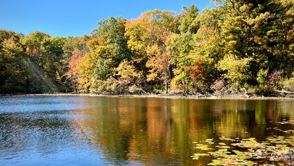 autumn forest lake