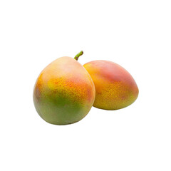 Tropical Mango Duo: a pair of vibrant, ripe mangoes, their skins displaying a gradient of colors, a succulent and tempting still life, evoking the taste of summer.