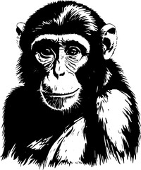 Intricate Chimpanzee Portrait Black and White Ink Drawing
