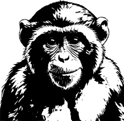 Fototapeta premium Majestic Chimpanzee A Black and White Illustration